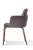 SILLA DE COMEDOR HALOX